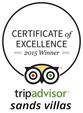 Trip Advisor Award